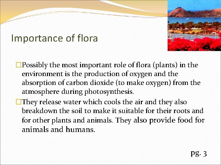 Importance of flora �Possibly the most important role of flora (plants) in the environment