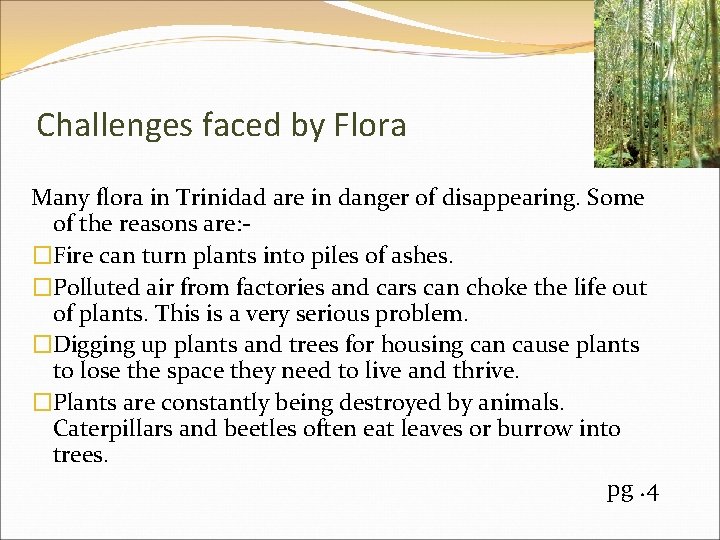 Challenges faced by Flora Many flora in Trinidad are in danger of disappearing. Some