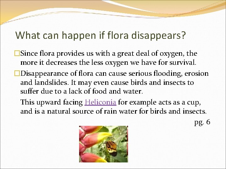 What can happen if flora disappears? �Since flora provides us with a great deal