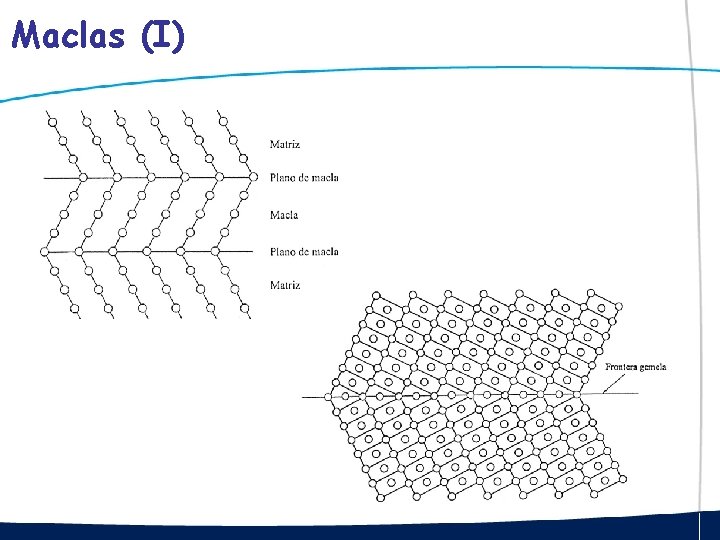 Maclas (I) 