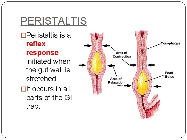 PERISTALTIS �Peristaltis is a reflex response initiated when the gut wall is stretched. �It