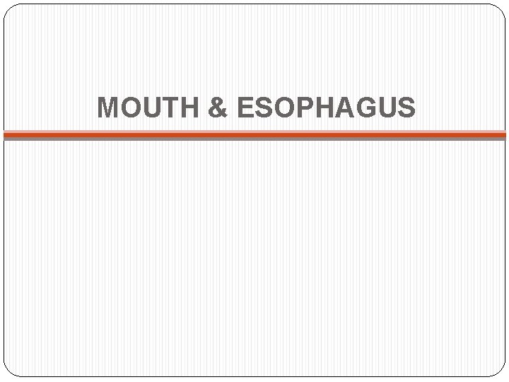 MOUTH & ESOPHAGUS 