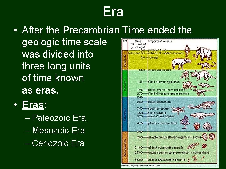 Era • After the Precambrian Time ended the geologic time scale was divided into