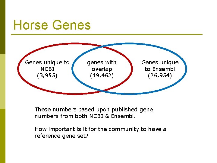 Horse Genes unique to NCBI (3, 955) genes with overlap (19, 462) Genes unique