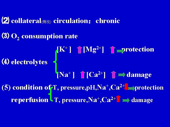⑵ collateral(侧枝) circulation：chronic ⑶ O 2 consumption rate [K+ ] , [Mg 2+] protection