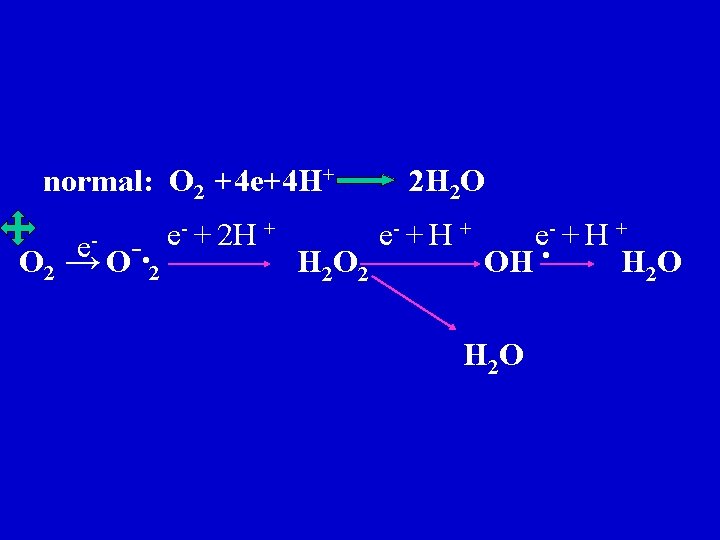 normal: O 2 +4 e+4 H+ 2 H 2 O - + 2 H normal: O 2 +4 e+4 H+ 2 H 2 O - + 2 H