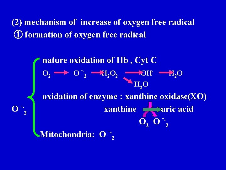 (2) mechanism of increase of oxygen free radical ① formation of oxygen free radical (2) mechanism of increase of oxygen free radical ① formation of oxygen free radical