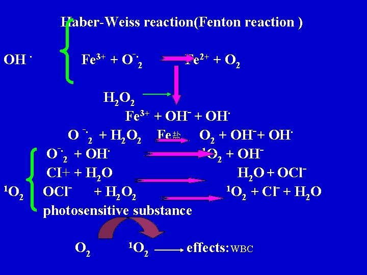 Haber-Weiss reaction(Fenton reaction ) OH ∙ 1 O 2 Fe 3+ + O‾∙ 2 Haber-Weiss reaction(Fenton reaction ) OH ∙ 1 O 2 Fe 3+ + O‾∙ 2