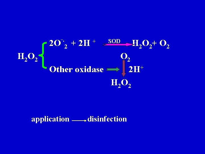 2 O‾∙ 2 + 2 H + H 2 O 2 SOD H 2 2 O‾∙ 2 + 2 H + H 2 O 2 SOD H 2