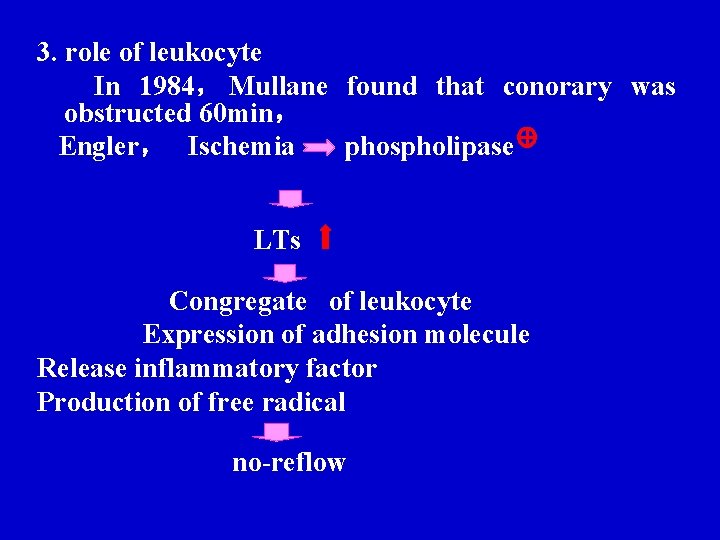 3. role of leukocyte In 1984, Mullane found that conorary was obstructed 60 min, 3. role of leukocyte In 1984, Mullane found that conorary was obstructed 60 min,