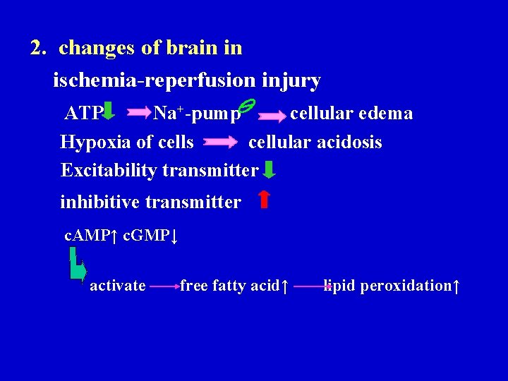 2. changes of brain in ischemia-reperfusion injury ATP Na+-pump cellular edema Hypoxia of cells 2. changes of brain in ischemia-reperfusion injury ATP Na+-pump cellular edema Hypoxia of cells