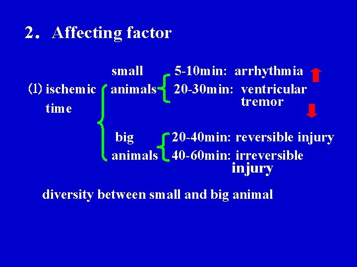 2.Affecting factor ⑴ ischemic time small animals 5 -10 min: arrhythmia 20 -30 min: 2.Affecting factor ⑴ ischemic time small animals 5 -10 min: arrhythmia 20 -30 min: