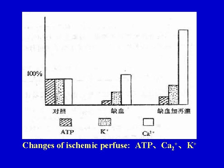 Changes of ischemic perfuse: ATP、Ca 2+、K+ Changes of ischemic perfuse: ATP、Ca 2+、K+