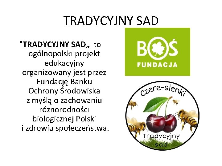 TRADYCYJNY SAD "TRADYCYJNY SAD„ to ogólnopolski projekt edukacyjny organizowany jest przez Fundację Banku Ochrony