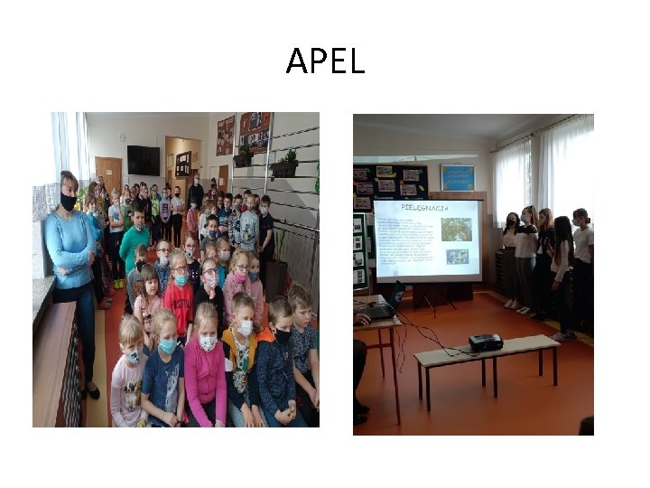 APEL 