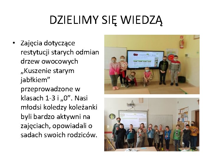 DZIELIMY SIĘ WIEDZĄ • Zajęcia dotyczące restytucji starych odmian drzew owocowych „Kuszenie starym jabłkiem”