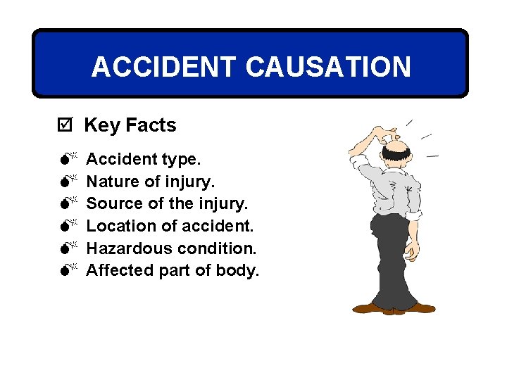 ACCIDENT CAUSATION þ Key Facts M M M Accident type. Nature of injury. Source