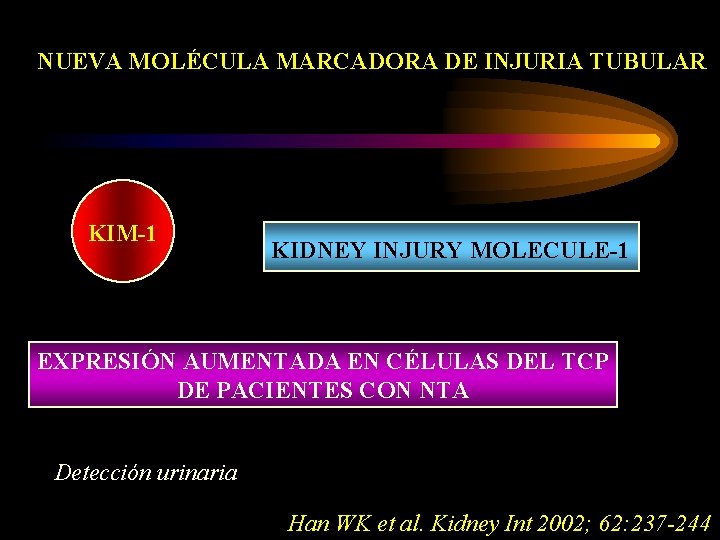NUEVA MOLÉCULA MARCADORA DE INJURIA TUBULAR KIM-1 KIDNEY INJURY MOLECULE-1 EXPRESIÓN AUMENTADA EN CÉLULAS