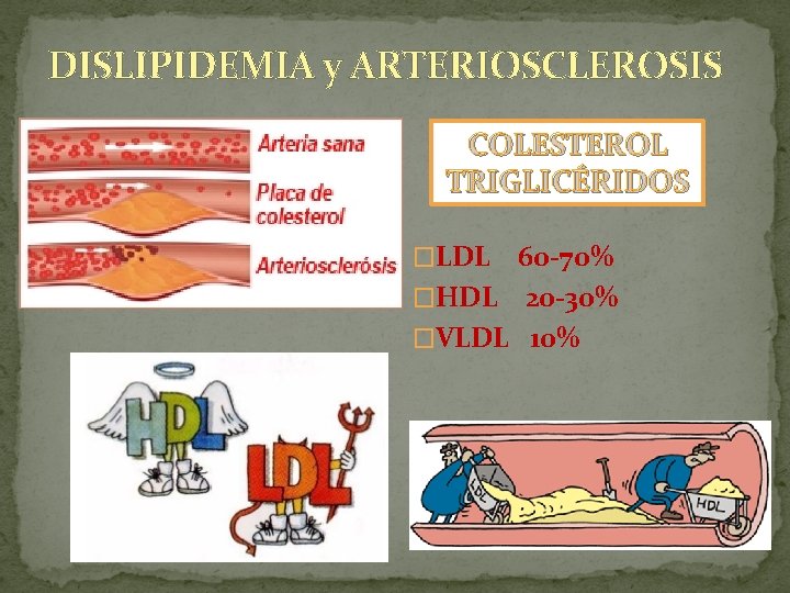 DISLIPIDEMIA y ARTERIOSCLEROSIS COLESTEROL TRIGLICÉRIDOS �LDL 60 -70% �HDL 20 -30% �VLDL 10% 