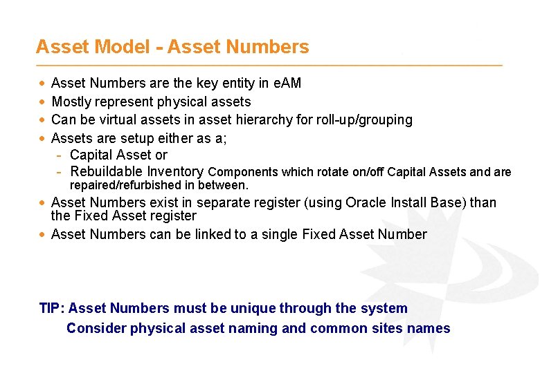 Asset Model - Asset Numbers · · Asset Numbers are the key entity in