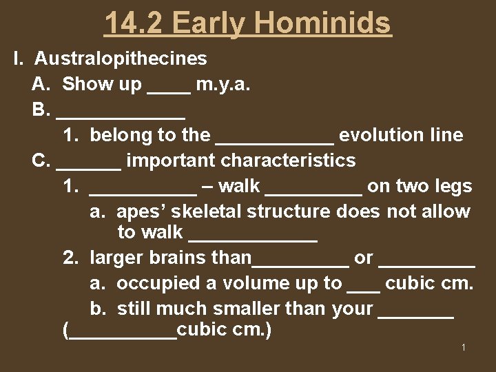 14. 2 Early Hominids I. Australopithecines A. Show up ____ m. y. a. B.