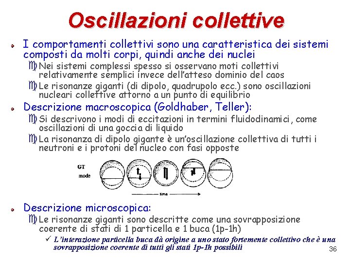 Oscillazioni collettive I comportamenti collettivi sono una caratteristica dei sistemi composti da molti corpi,