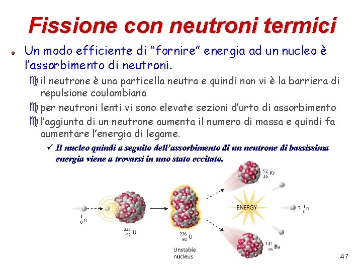 Fissione con neutroni termici Un modo efficiente di “fornire” energia ad un nucleo è