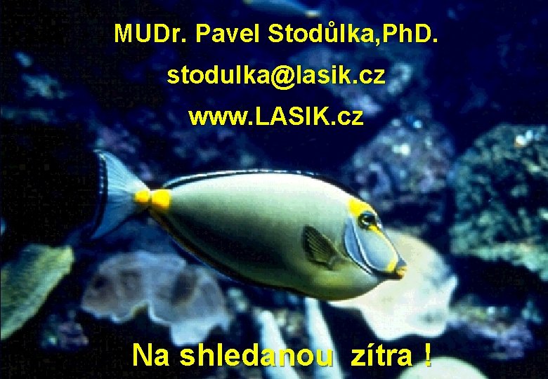 MUDr. Pavel Stodůlka, Ph. D. stodulka@lasik. cz www. LASIK. cz Na shledanou zítra !