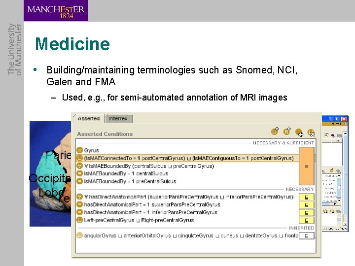 Medicine • Building/maintaining terminologies such as Snomed, NCI, Galen and FMA – Used, e.