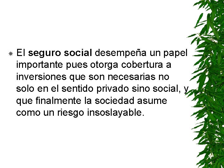  El seguro social desempeña un papel importante pues otorga cobertura a inversiones que