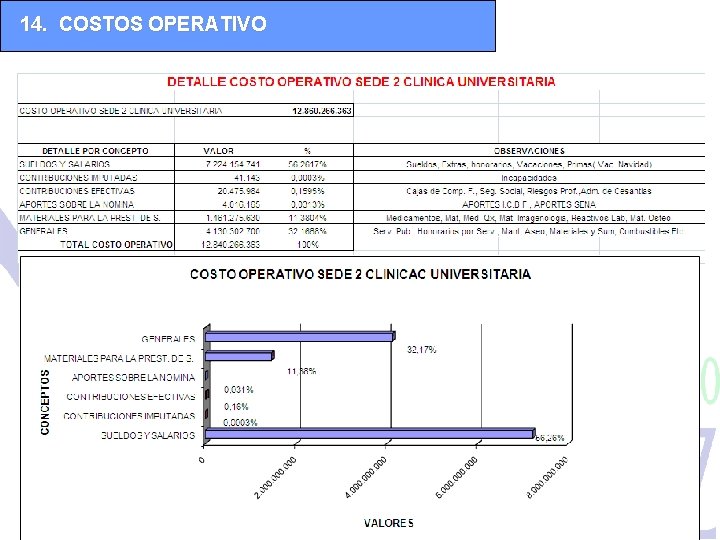 14. COSTOS OPERATIVO 