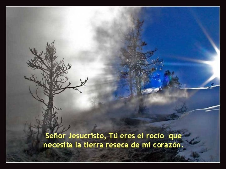 Señor Jesucristo, Tú eres el rocío que necesita la tierra reseca de mi corazón.