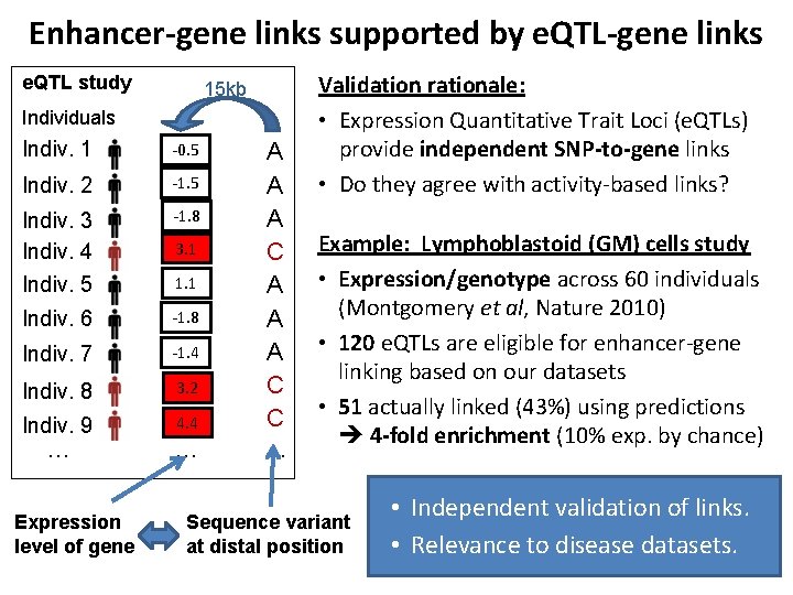 Enhancer-gene links supported by e. QTL-gene links e. QTL study 15 kb Individuals Indiv.
