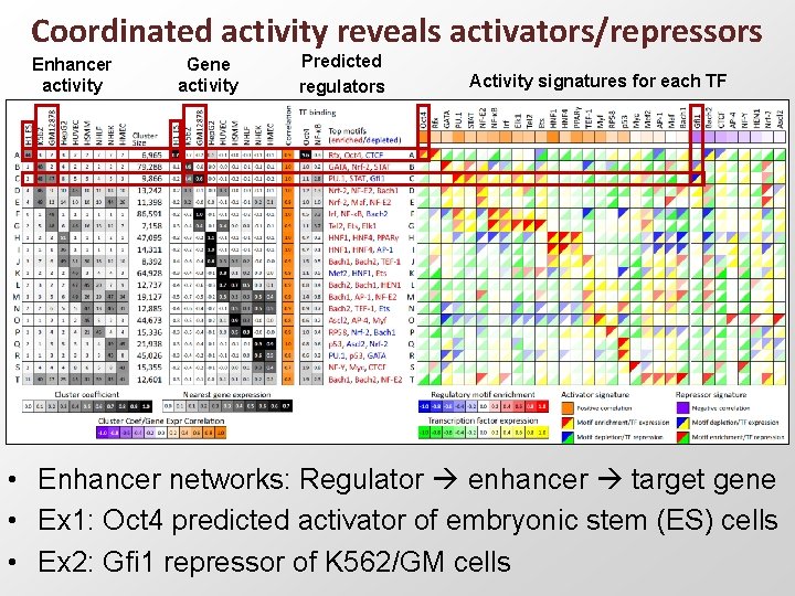 Coordinated activity reveals activators/repressors Enhancer activity Gene activity Predicted regulators Activity signatures for each