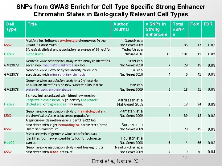 SNPs from GWAS Enrich for Cell Type Specific Strong Enhancer Chromatin States in Biologically