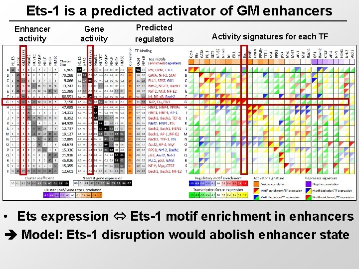 Ets-1 is a predicted activator of GM enhancers Enhancer activity Gene activity Predicted regulators
