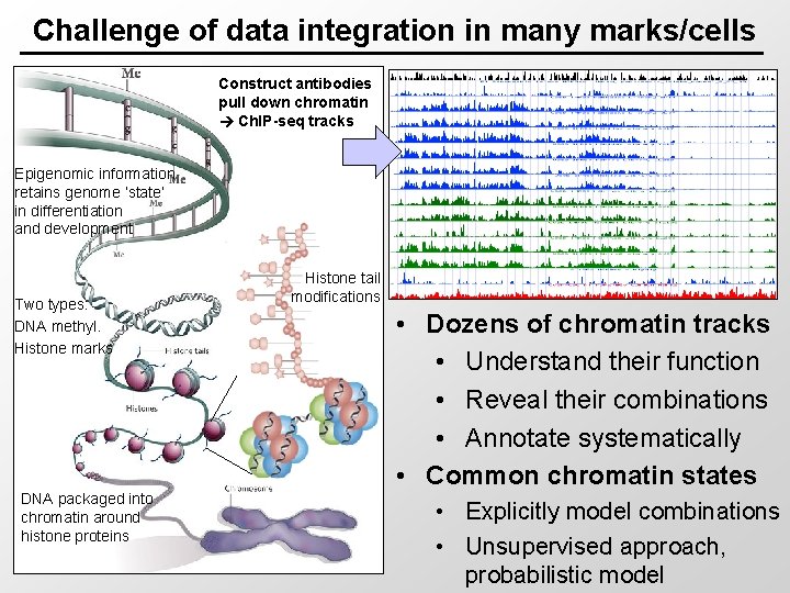 Challenge of data integration in many marks/cells Construct antibodies pull down chromatin Ch. IP-seq
