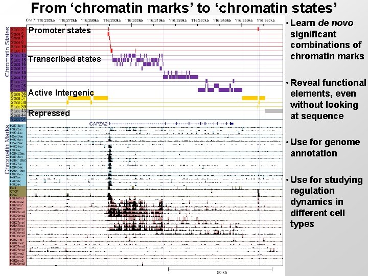 From ‘chromatin marks’ to ‘chromatin states’ Promoter states Transcribed states Active Intergenic Repressed •
