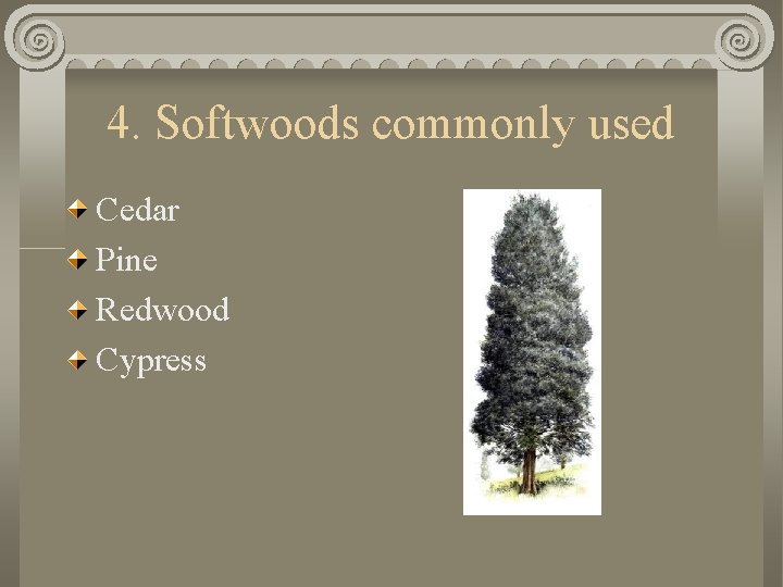 4. Softwoods commonly used Cedar Pine Redwood Cypress 