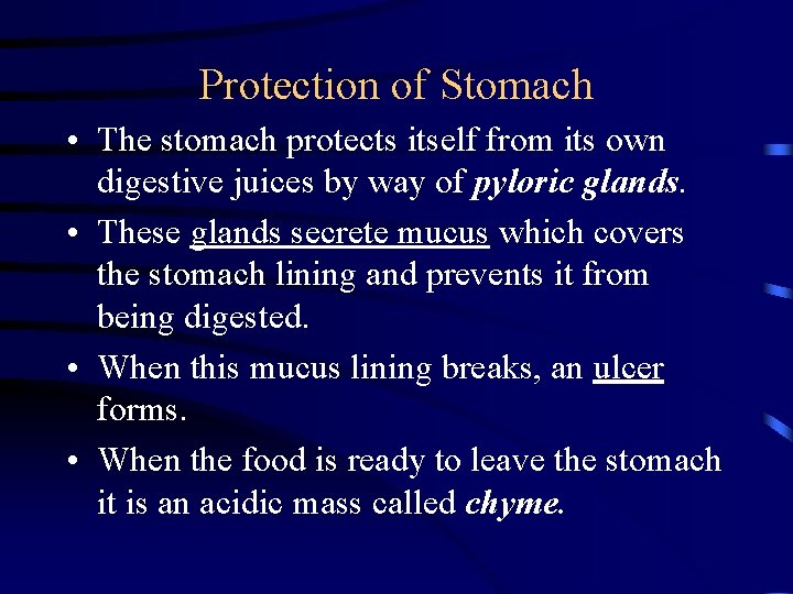 Protection of Stomach • The stomach protects itself from its own digestive juices by