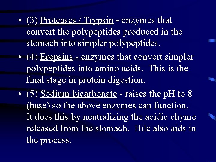  • (3) Proteases / Trypsin - enzymes that convert the polypeptides produced in