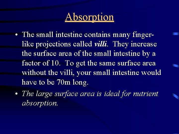 Absorption • The small intestine contains many fingerlike projections called villi. They increase the
