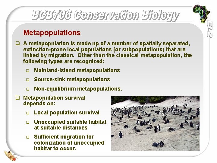 Extinction and Conservation l Gwen Raitt BCB 706
