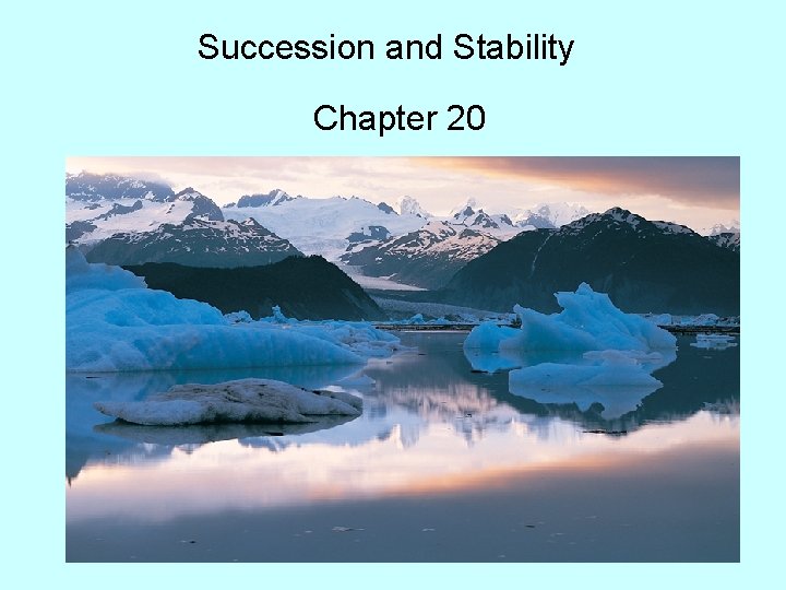 Succession and Stability Chapter 20 