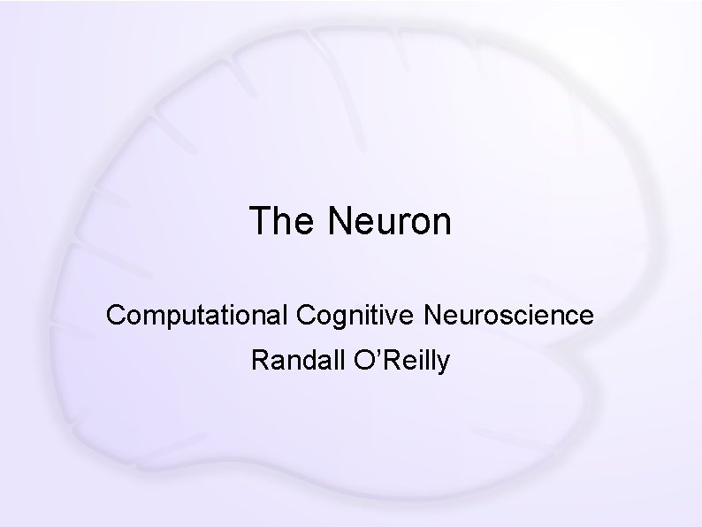 The Neuron Computational Cognitive Neuroscience Randall O’Reilly 