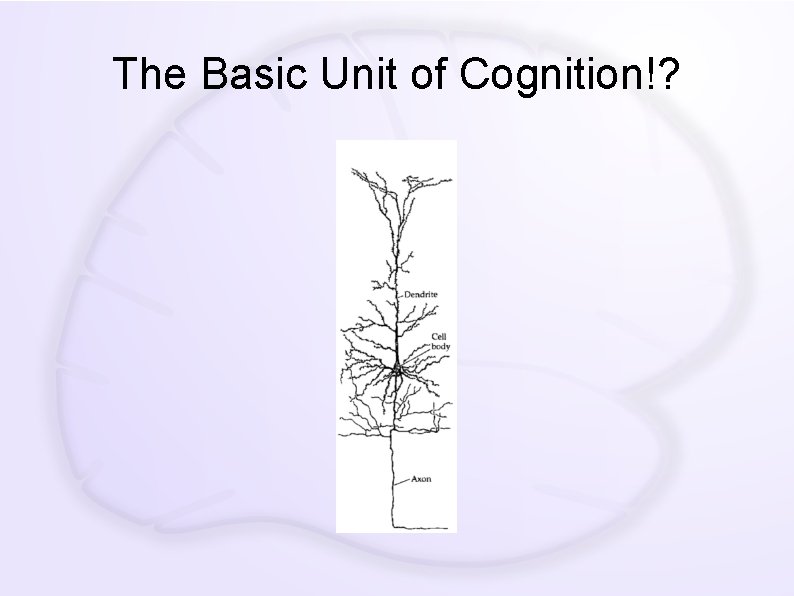 The Basic Unit of Cognition!? 