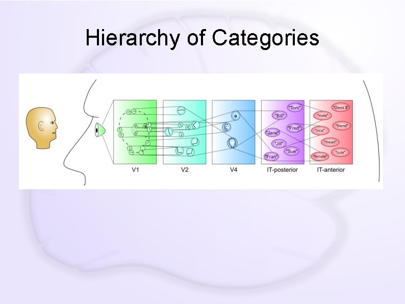 Hierarchy of Categories 