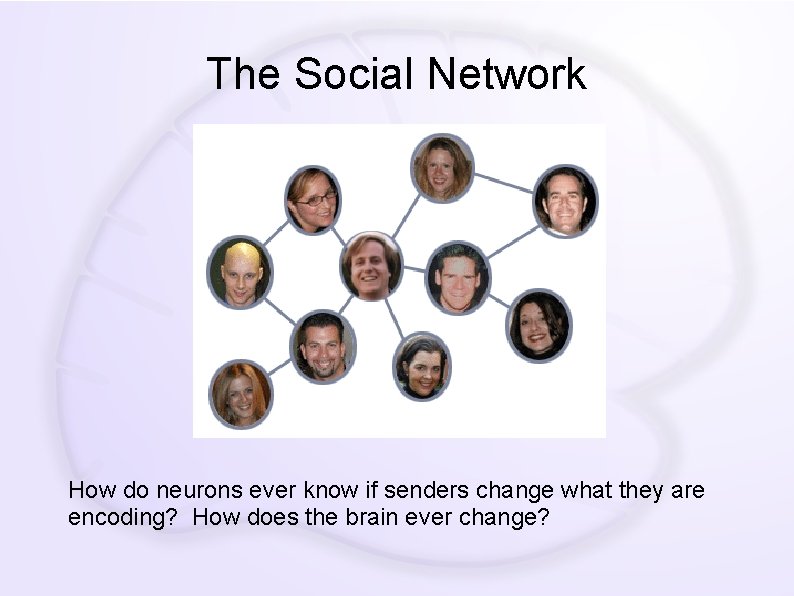 The Social Network How do neurons ever know if senders change what they are