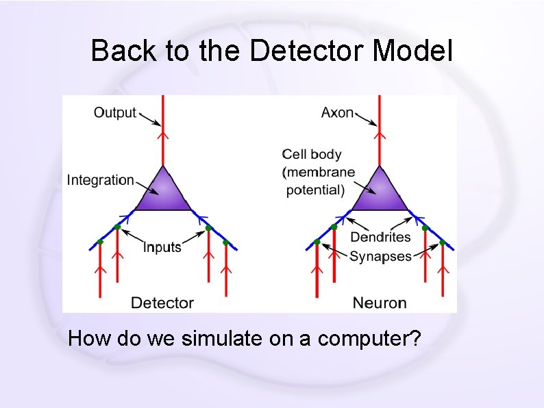 Back to the Detector Model How do we simulate on a computer? 