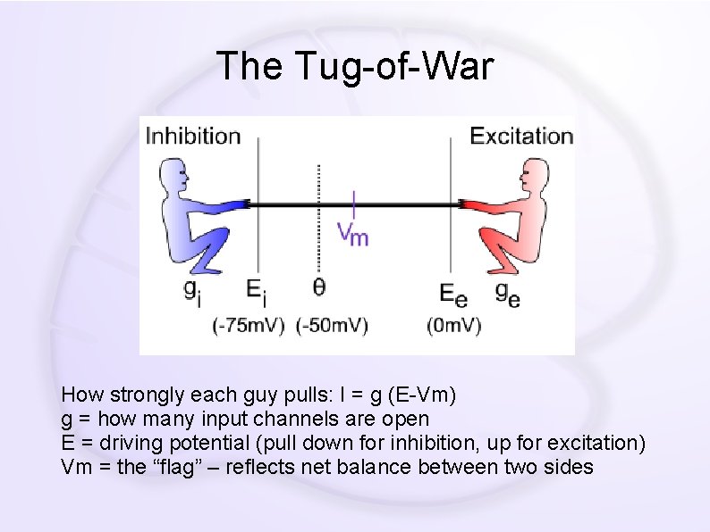The Tug-of-War How strongly each guy pulls: I = g (E-Vm) g = how
